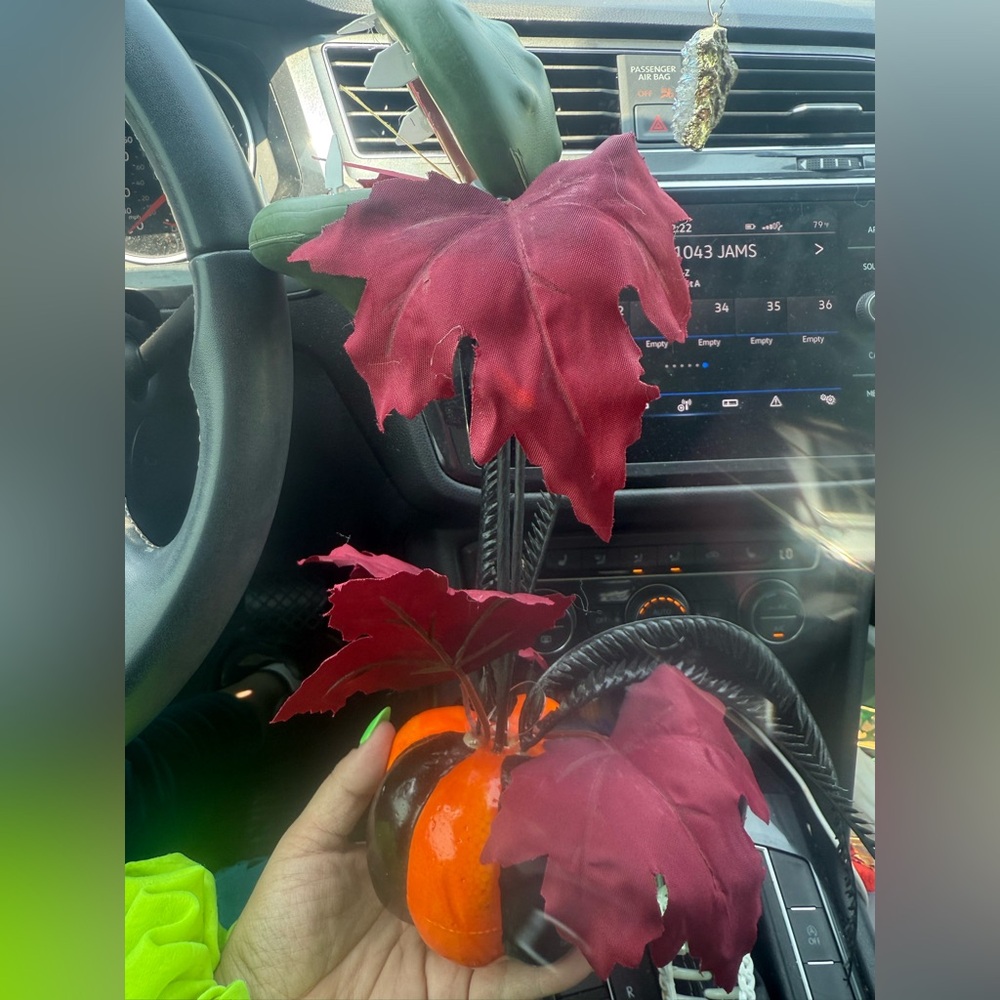 Monster head pumpkin head plant